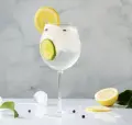Gin Tonic