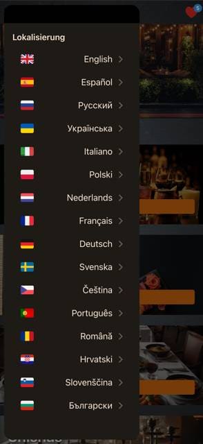 Modern App menu template preview 4